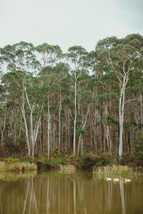 Naivasha Cottage image 19
