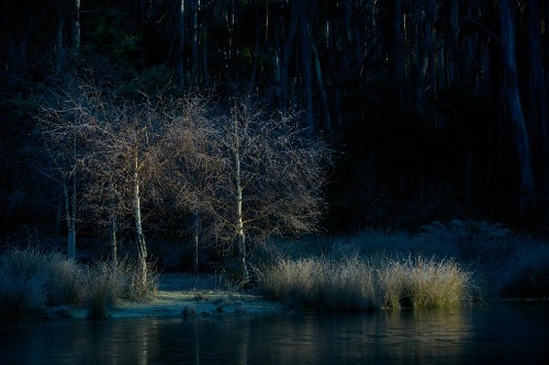 Naivasha Cottage image 2