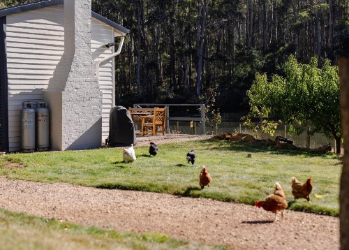 Naivasha Cottage image 9